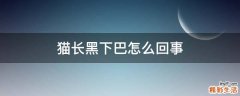 猫长黑下巴怎么回事