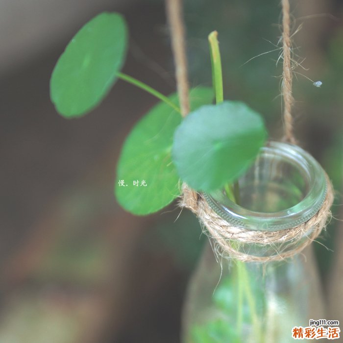 视网膜脱离是怎么回事？