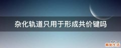 杂化轨道只用于形成共价键吗