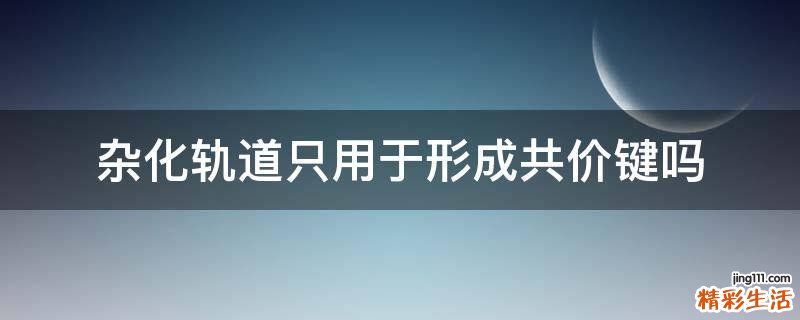 杂化轨道只用于形成共价键吗