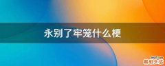 永别了牢笼什么梗
