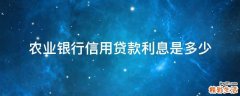 农业银行信用贷款利息是多少
