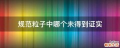 规范粒子中哪个未得到证实