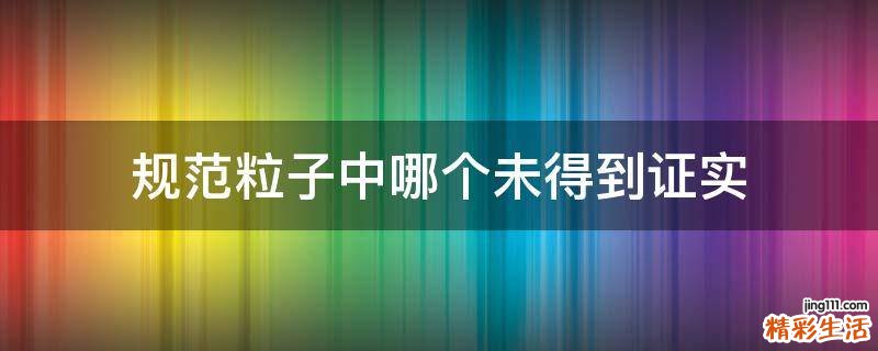 规范粒子中哪个未得到证实