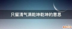 只留清气满乾坤乾坤的意思