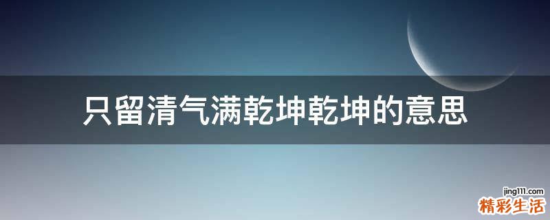 只留清气满乾坤乾坤的意思
