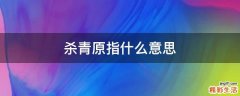 杀青原指什么意思
