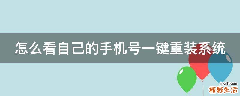怎么看自己的手机号一键重装系统
