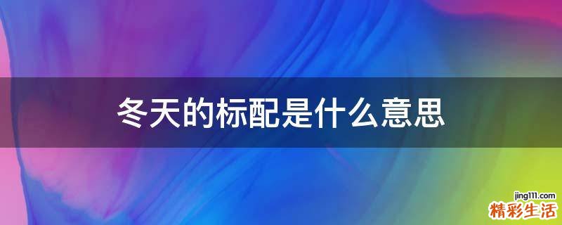 冬天的标配是什么意思