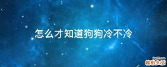 怎么才知道狗狗冷不冷