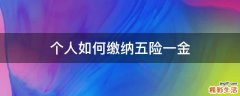 个人如何缴纳五险一金