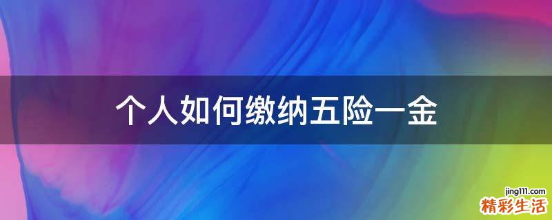 个人如何缴纳五险一金