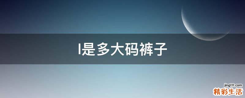 l是多大码裤子