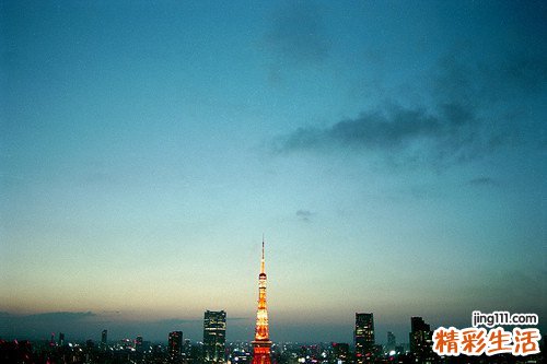 灵芝胶囊