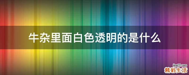 牛杂里面白色透明的是什么