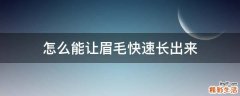 怎么能让眉毛快速长出来
