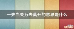一夫当关万夫莫开的意思是什么