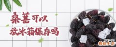 桑葚可以放冰箱保存吗 桑葚可以直接吃吗