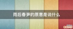 雨后春笋的原意是说什么