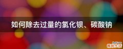 如何除去过量的氯化钡、碳酸钠