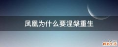 凤凰为什么要涅槃重生
