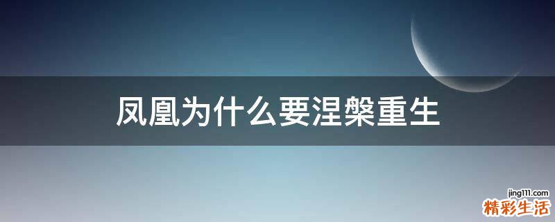 凤凰为什么要涅槃重生