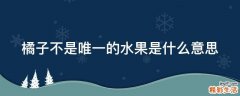 橘子不是唯一的水果是什么意思