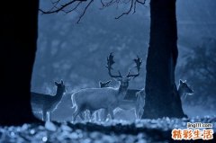 2 偷师彩妆师画眼线不晕染