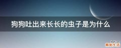 狗狗吐出来长长的虫子是为什么