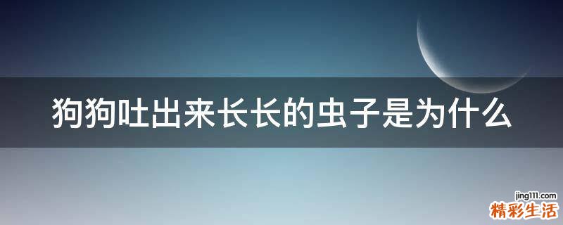 狗狗吐出来长长的虫子是为什么