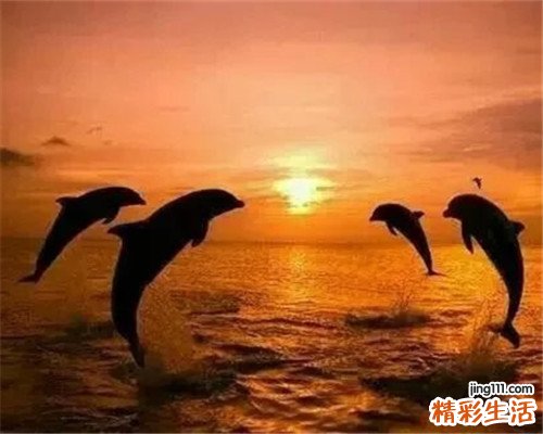 婴儿湿疹的原因和治疗