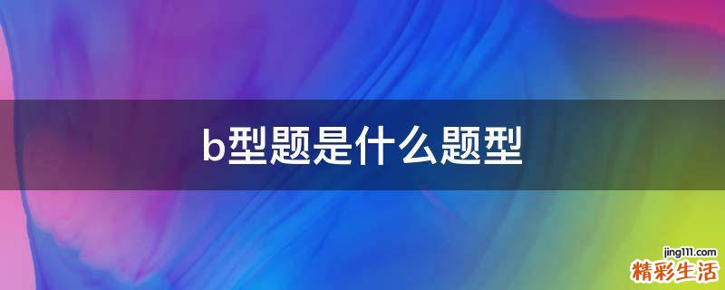 b型题是什么题型