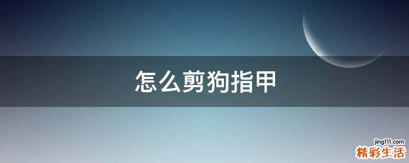 怎么剪狗指甲
