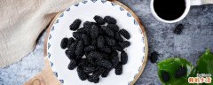 桑葚怎么洗才能吃 桑葚怎样吃补肾效果好