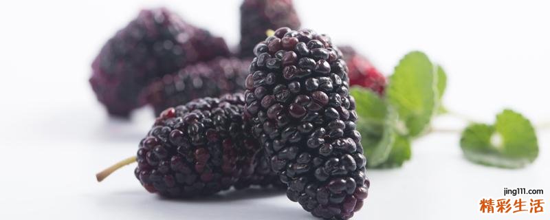 桑葚只用清水洗了能吃吗 桑葚不洗会有寄生虫吗
