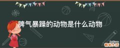 脾气暴躁的动物是什么动物