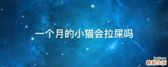 一个月的小猫会拉屎吗