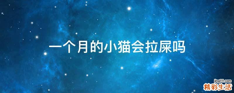 一个月的小猫会拉屎吗