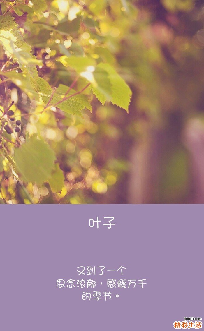 公开完美卸妆的五大技巧