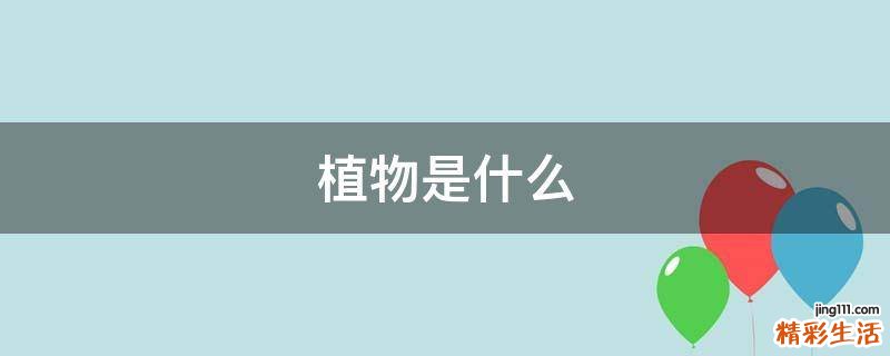 植物是什么
