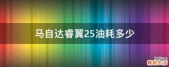 马自达睿翼2.5油耗多少