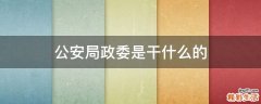 公安局政委是干什么的