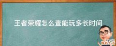 王者荣耀怎么查能玩多长时间