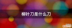 柳叶刀是什么刀