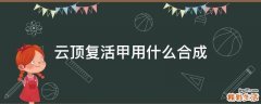 云顶复活甲用什么合成
