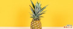 菠萝榨汁要用盐水泡吗 凤梨要用盐水泡吗