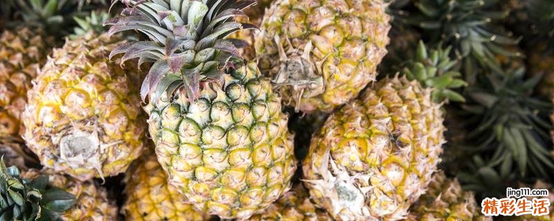 菠萝为什么要用盐水泡才能吃 菠萝泡盐水5分钟能吃吗