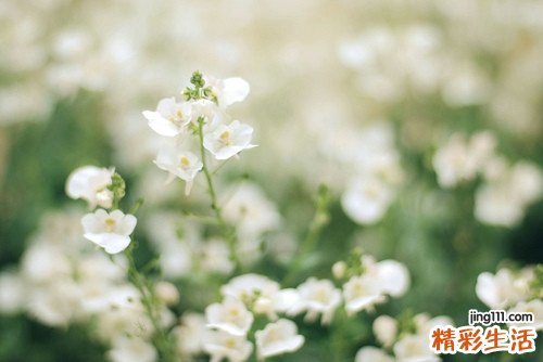 小编教您四招选血糖仪