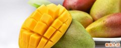 小台芒好还是贵妃芒好 贵妃芒和小台芒哪种贵