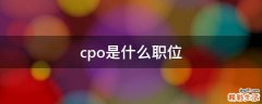 cpo是什么职位